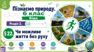 Чи можливе життя без руху. Презентація, інфографіка, робочий аркуш