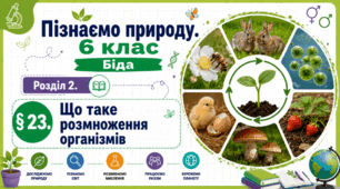 Що таке розмноження організмів. Презентація, інфографіка, робочий аркуш