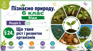 Що таке ріст і розвиток організмів. Презентація, інфографіка, робочий аркуш