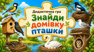 Дидактична гра "Знайди домівку пташки"