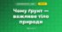 Чому ґрунт — важливе тіло природи (3 клас, Я досліджую світ, Гільберг)