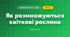 Як розмножуються квіткові рослини (3 клас, Я досліджую світ, Гільберг)