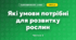 Які умови потрібні для розвитку рослин (3 клас, Я досліджую світ, Гільберг)