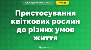 Пристосування квіткових рослин до різних умов життя (3 клас, Я досліджую світ, Гільберг)