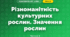 Різноманітність культурних рослин. Значення рослин (3 клас, Я досліджую світ, Гільберг)