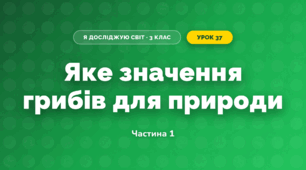Яке значення грибів для природи (3 клас, Я досліджую світ, Гільберг)