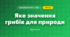 Яке значення грибів для природи (3 клас, Я досліджую світ, Гільберг)