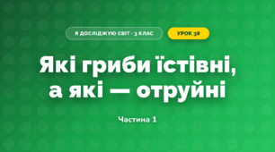 Які гриби їстівні, а які — отруйні (3 клас, Я досліджую світ, Гільберг)
