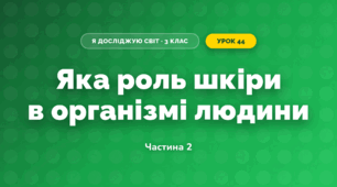 Яка роль шкіри в організмі людини (3 клас, Я досліджую світ, Гільберг)