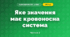 Яке значення має кровоносна система (3 клас, Я досліджую світ, Гільберг)