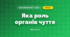 Яка роль органів чуття (3 клас, Я досліджую світ, Гільберг)