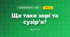 Що таке зорі та сузір’я? (4 клас, Я досліджую світ, Будна)