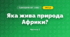 Яка жива природа Африки? (4 клас, Я досліджую світ, Будна)