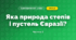 Яка природа степів і пустель Євразії? (4 клас, Я досліджую світ, Будна)