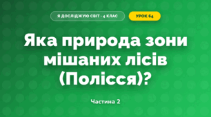 Яка природа зони мішаних лісів (Полісся)? (4 клас, Я досліджую світ, Будна)