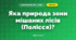 Яка природа зони мішаних лісів (Полісся)? (4 клас, Я досліджую світ, Будна)