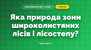 Яка природа зони широколистяних лісів і лісостепу? (4 клас, Я досліджую світ, Будна)