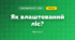 Як влаштований ліс? (4 клас, Я досліджую світ, Волощенко)