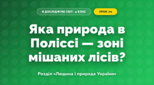 Яка природа в Поліссі — зоні мішаних лісів? (4 клас, Я досліджую світ, Грущинська)