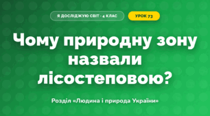 Чому природну зону назвали лісостеповою? (4 клас, Я досліджую світ, Грущинська)