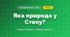 Яка природа у Степу? (4 клас, Я досліджую світ, Грущинська)
