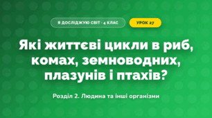 Які життєві цикли в риб, комах, земноводних, плазунів і птахів? (4 клас, Я досліджую світ, Іщенко)