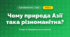 Чому природа Азії така різноманітна? (4 клас, Я досліджую світ, Іщенко)