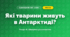 Які тварини живуть в Антарктиді? (4 клас, Я досліджую світ, Іщенко)