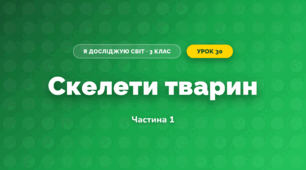 Скелети тварин (3 клас, Я досліджую світ, Іщенко)