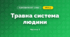 Травна система людини (3 клас, Я досліджую світ, Іщенко)