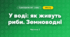 У воді: як живуть риби. Земноводні (3 клас, Я досліджую світ, Іщенко)