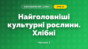 Найголовніші культурні рослини. Хлібні (3 клас, Я досліджую світ, Іщенко)