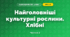 Найголовніші культурні рослини. Хлібні (3 клас, Я досліджую світ, Іщенко)
