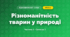 Різноманітність тварин у природі (3 клас, Я досліджую світ, Бібік Н.М., Бондарчук Г.П., Павлова Т.С.)
