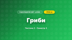 Гриби (3 клас, Я досліджую світ, Бібік Н.М., Бондарчук Г.П., Павлова Т.С.)