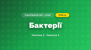 Бактерії (3 клас, Я досліджую світ, Бібік Н.М., Бондарчук Г.П., Павлова Т.С.)