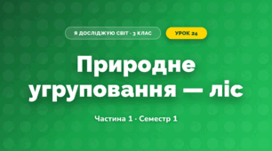 Природне угруповання — ліс (3 клас, Я досліджую світ, Бібік Н.М., Бондарчук Г.П., Павлова Т.С.)