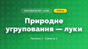 Природне угруповання — луки (3 клас, Я досліджую світ, Бібік Н.М., Бондарчук Г.П., Павлова Т.С.)