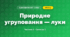 Природне угруповання — луки (3 клас, Я досліджую світ, Бібік Н.М., Бондарчук Г.П., Павлова Т.С.)