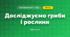 Досліджуємо гриби і рослини (3 клас, Я досліджую світ, Воронцова)