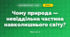 Чому природа — невіддільна частина навколишнього світу? (3 клас, Я досліджую світ, Грущинська І.В., Хитра З.М.)