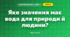 Яке значення має вода для природи й людини? (3 клас, Я досліджую світ, Грущинська І.В., Хитра З.М.)