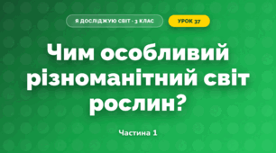 Чим особливий різноманітний світ рослин? (3 клас, Я досліджую світ, Грущинська І.В., Хитра З.М.)