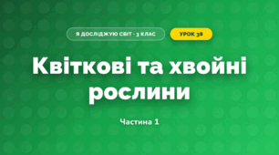 Квіткові та хвойні рослини (3 клас, Я досліджую світ, Грущинська І.В., Хитра З.М.)