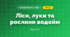 Ліси, луки та рослини водойм (3 клас, Я досліджую світ, Грущинська І.В., Хитра З.М.)