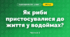 Як риби пристосувалися до життя у водоймах? (3 клас, Я досліджую світ, Грущинська І.В., Хитра З.М.)