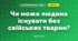 Чи може людина існувати без свійських тварин? (3 клас, Я досліджую світ, Грущинська І.В., Хитра З.М.)