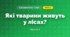 Які тварини живуть у лісах? (3 клас, Я досліджую світ, Грущинська І.В., Хитра З.М.)