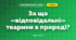 За що «відповідальні» тварини в природі? (3 клас, Я досліджую світ, Грущинська І.В., Хитра З.М.)