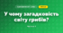 У чому загадковість світу грибів? (3 клас, Я досліджую світ, Грущинська І.В., Хитра З.М.)